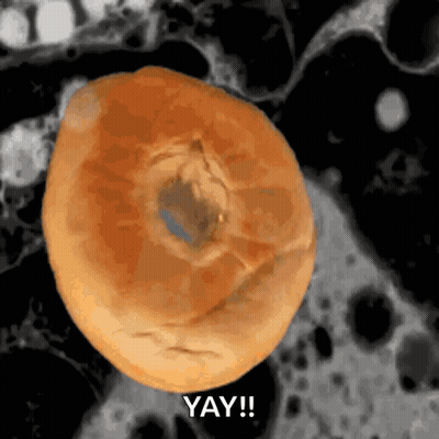Close Up Of Bagel Saying Yay GIF