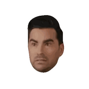Close Up Of Bearded Man's Head Sticker