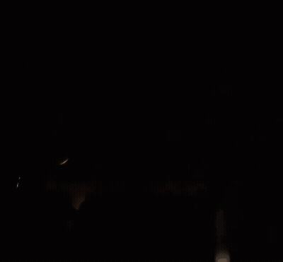 Close Up Of Black And White Dog With Red Collar GIF
