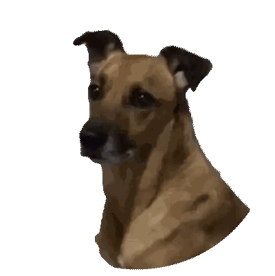 Close Up Of Brown Dog's Head Sticker