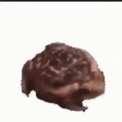 Close Up Of Brown Object GIF