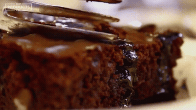Close Up Of Brownie Saying Products GIF