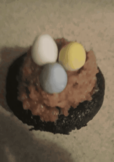 Close Up Of Cake With Eggs GIF