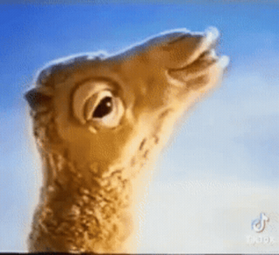 Close Up Of Camel Head Against Blue Sky GIF