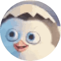 Close Up Of Cartoon Penguin Face Sticker