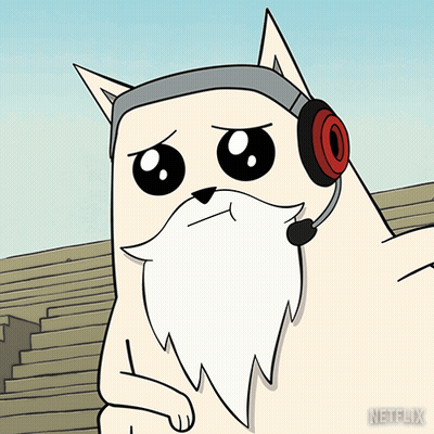 Close Up Of Cat Face GIF