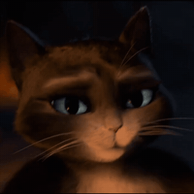 Close Up Of Cat Face In Dark GIF