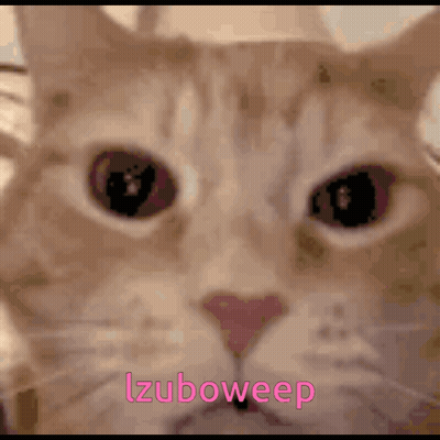 Close Up Of Cat Face Izuboweep GIF