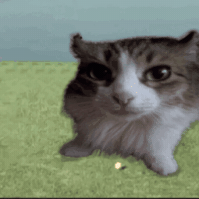 Close Up Of Cat Face On Green Background GIF