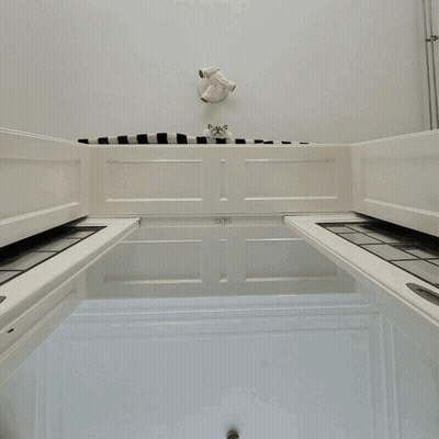 Close Up Of Cat Face On Striped Blanket GIF