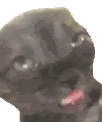 Close Up Of Cat Face With Tongue Out Sticker