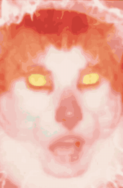 Close Up Of Cat Face With Yellow Eye GIF