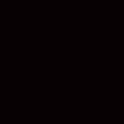 Close Up Of Cat Looking At Camera GIF