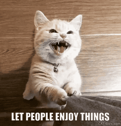Close Up Of Cat Looking At Camera GIF