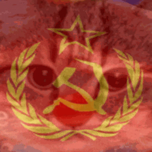 Close Up Of Cat's Face With Hammer And Sickle On Red Background GIF