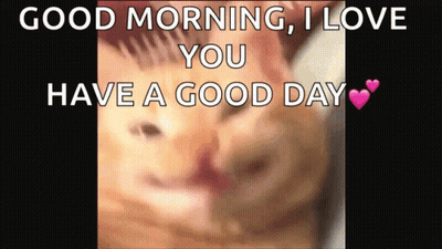 Close Up Of Cat Saying Good Morning I Love You Have A Good Day GIF