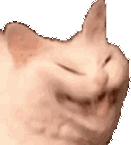 Close Up Of Cat With Eyes Closed Sticker
