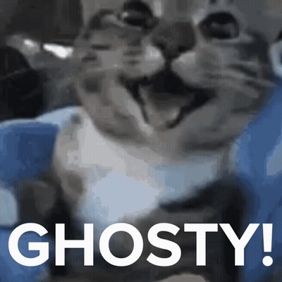 Close Up Of Cat With Ghosty Text GIF