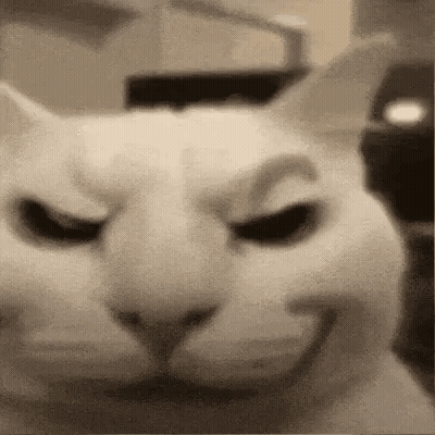 Close Up Of Cat With Smiling Face GIF