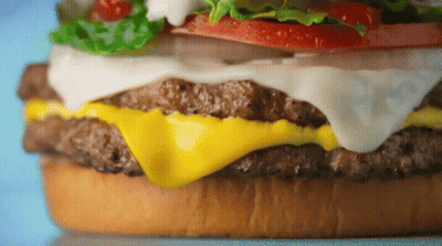 Close Up Of Cheeseburger On Bun GIF