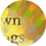 Close Up Of Circle With Words Sticker