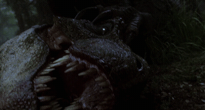 Close Up Of Dinosaur Eye GIF