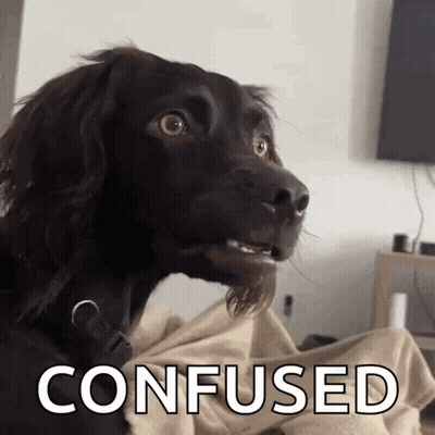 Close Up Of Dog Face With Word Confused GIF