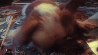 Close Up Of Dog Laying On Table With Movie Clips.com GIF