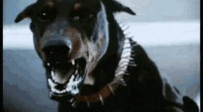 Close Up Of Dog With Open Mouth GIF