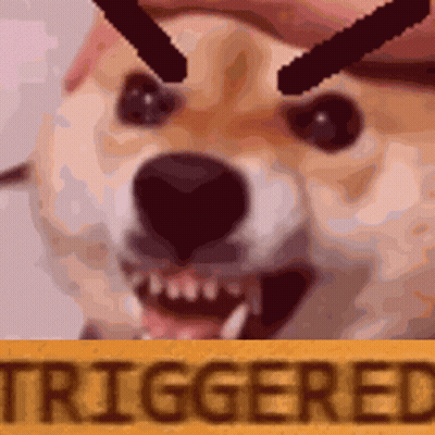 Close Up Of Dog With Triggered Sign GIF