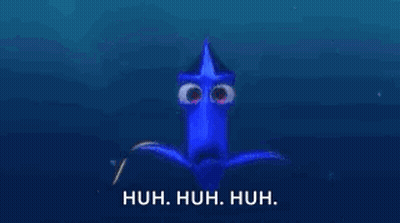 Close Up Of Dory's Eyes GIF