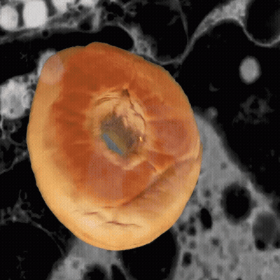 Close Up Of Doughnut With Hole GIF