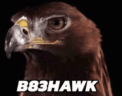 Close Up Of Eagle Face B83 Hawk GIF
