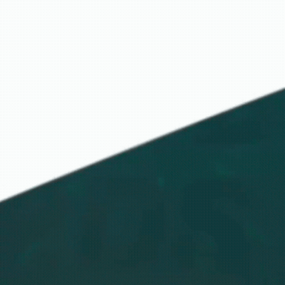 Close Up Of Eagle Head With Blue Background GIF