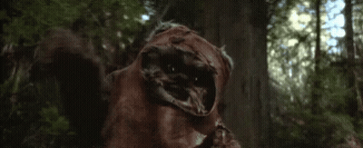 Close Up Of Ewok In Woods GIF