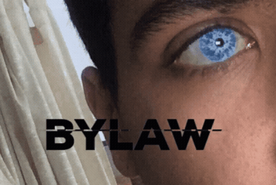 Close Up Of Eye With Bylaw GIF