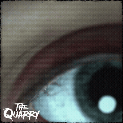 Close Up Of Eye With Text The Quarry GIF