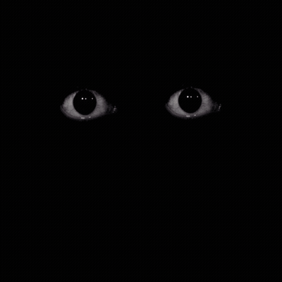 Close Up Of Eyes In Darkness GIF