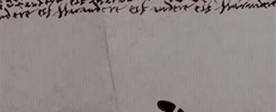 Close Up Of Footprints On A Wall GIF