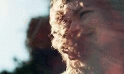 Close Up Of Furry Animal Face With Blurry Background GIF