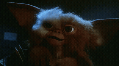 Close Up Of Gizmo From Gremlins GIF