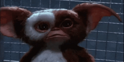 Close Up Of Gizmo From Gremlins GIF