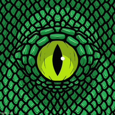 Close Up Of Green Snake Eye On Black Background GIF