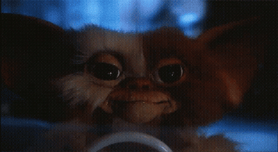 Close Up Of Gremlins Gizmo GIF