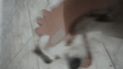 Close-Up Of Hand Holding White Object GIF