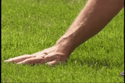 Close Up Of Hand On Grass GIF