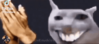Close Up Of Hands And Smiling Dog Face GIF