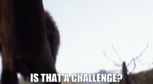 Close Up Of Horse Legs With Words Is That A Challenge GIF