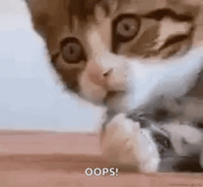 Close Up Of Kitten Laying On Table With Paw On Floor GIF