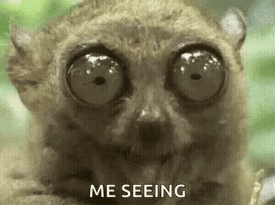 Close Up Of Lemur With Big Eyes Saying Me Seeing GIF